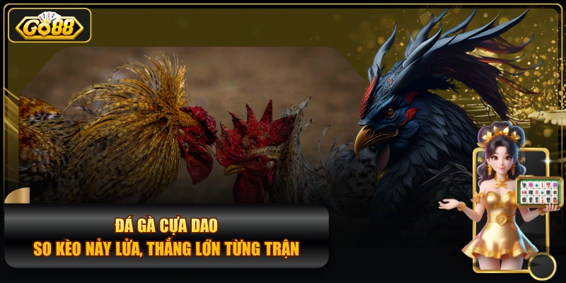Đá Gà Cựa Dao - So Kèo Nảy Lửa, Thắng Lớn Từng Trận