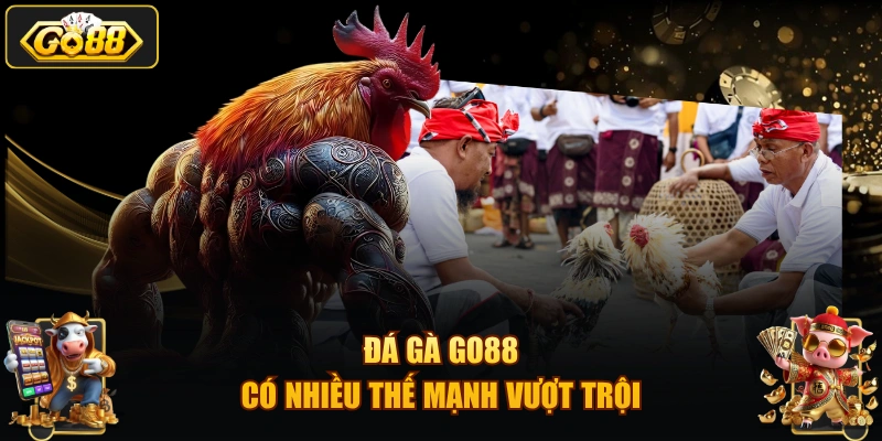 Đá gà GO88 có nhiều thế mạnh vượt trội