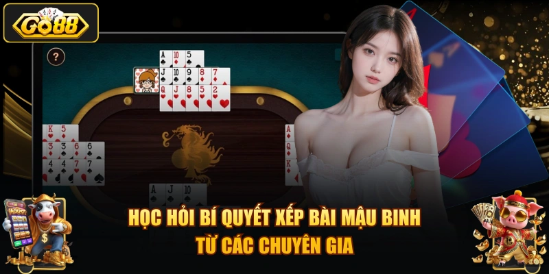Học hỏi bí quyết xếp bài mậu binh từ các chuyên gia