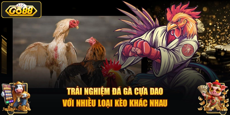 Trải nghiệm đá gà cựa dao với nhiều loại kèo khác nhau